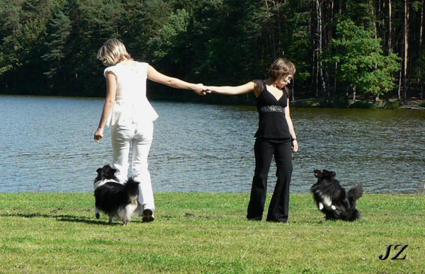 http://www.soloriens-shelties.com/fotky/tabor_schuze_07/tanec_bony_fredy_05.jpg